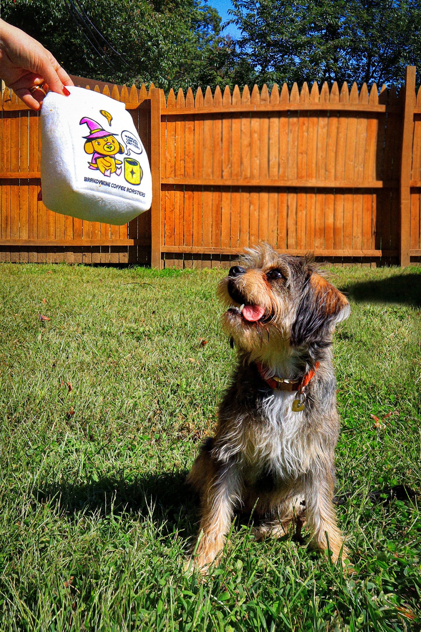 Brandywine Coffee Roasters Dog Toy!